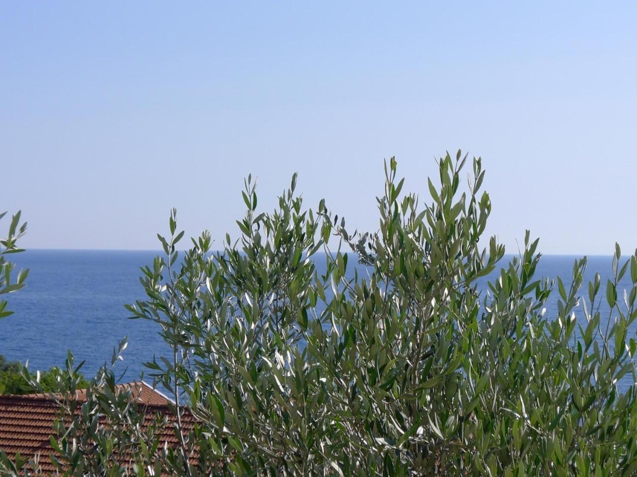 Apartments Maslina Sveti Stefan Exterior foto